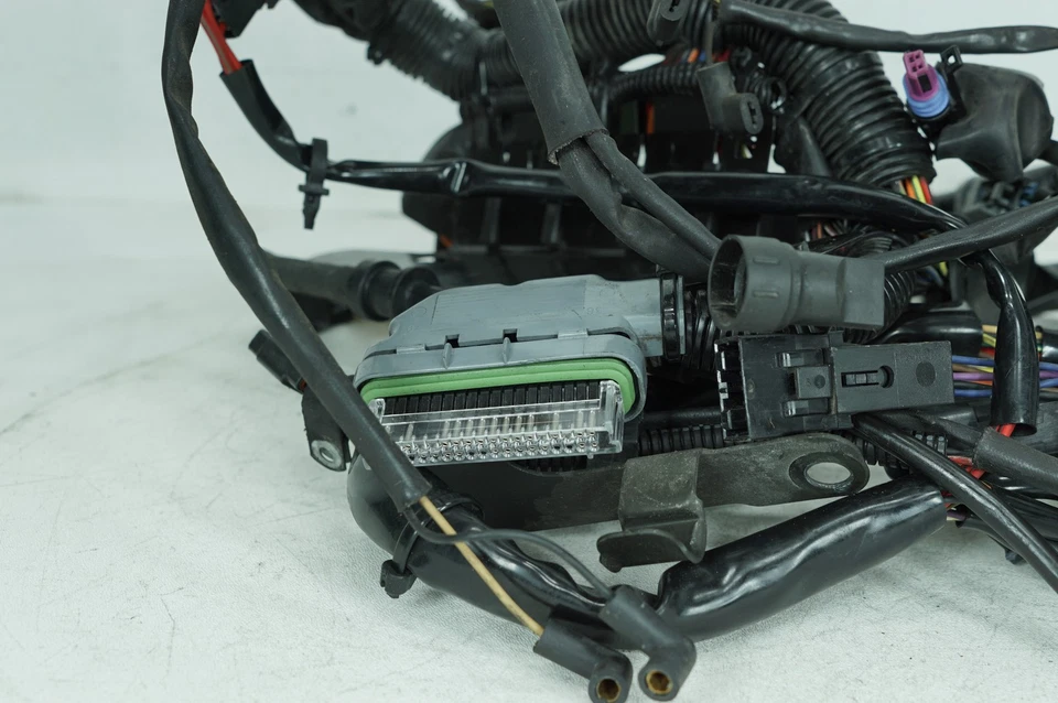 Harley Softail Heritage Classic 2006 FLSTCI cableado principal arnés telar Foto 2 de 4