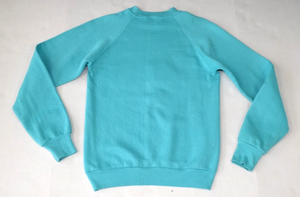 Sudadera Raglán Vintage Jerzees Talla S Años 80 Azul Turquesa Pintado Carrusel Caballo Foto 2 de 4