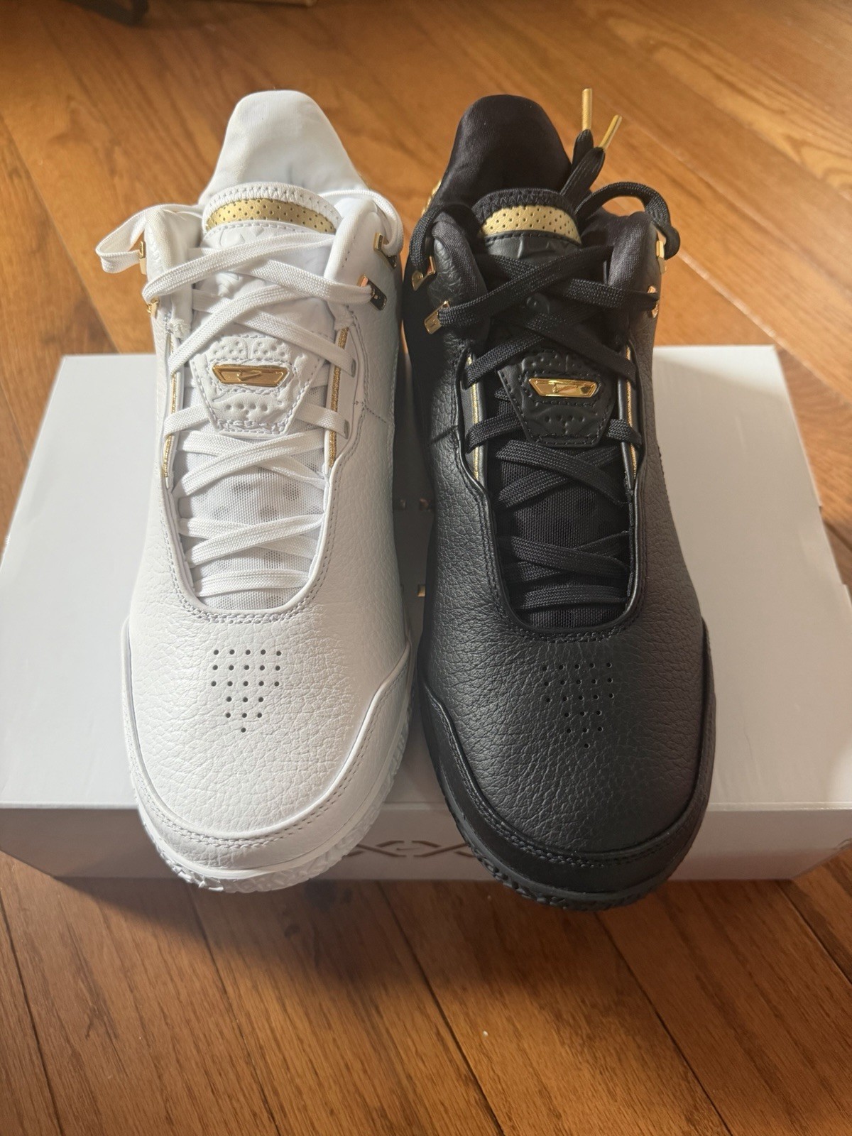 Nike Zoom LeBron NXXT Gen AMPD Equity White-Gold-Black, Size 9, FJ1566-103