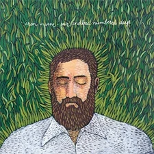 Iron & Wine OUR ENDLESS NUMBERED DAYS New Sealed Black Vinyl Record LP