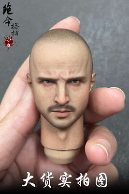 1/6 Aaron Paul Jessi Pinkman Head Sculpt for 12