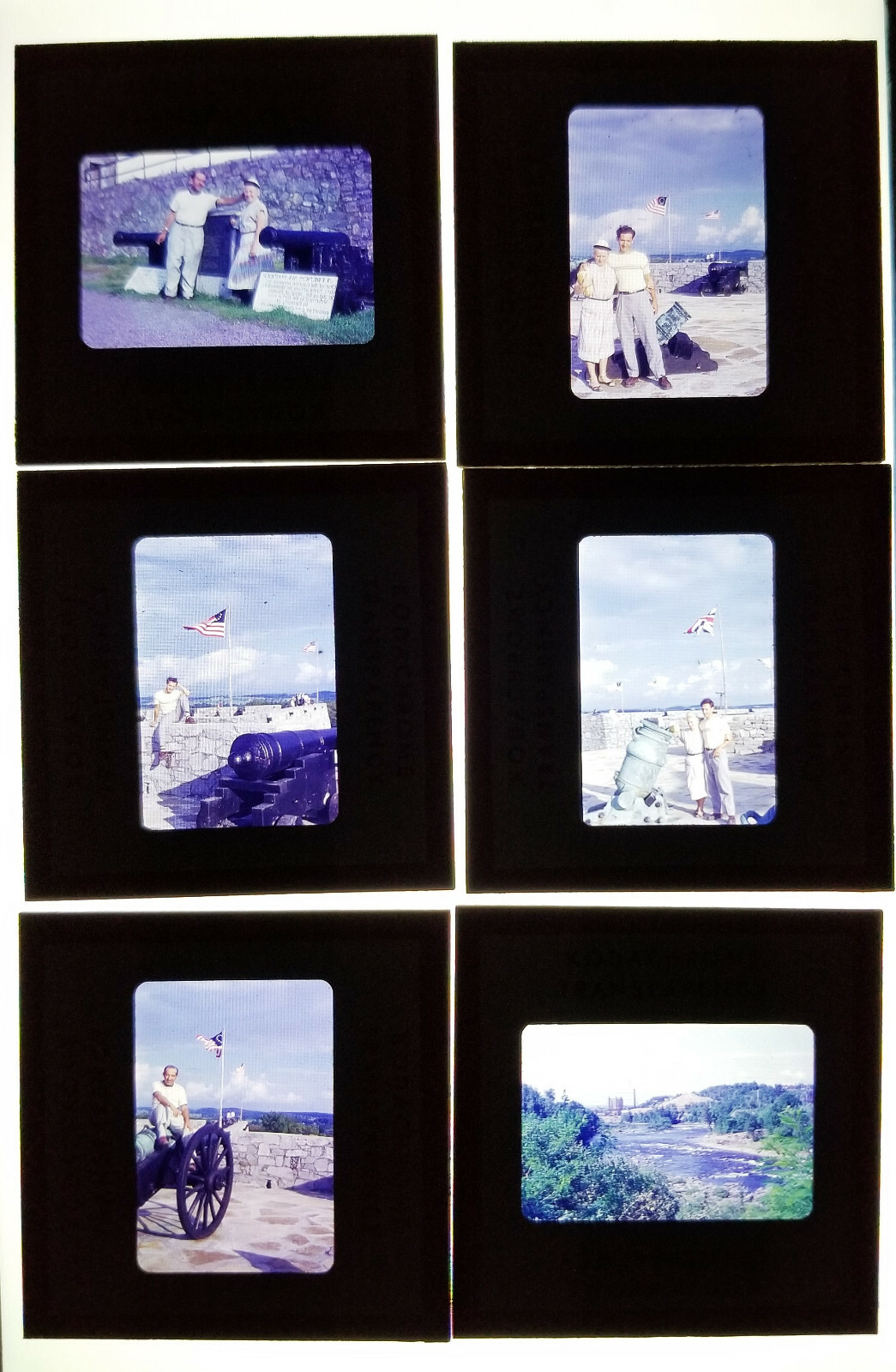 Picture 5 of 12
