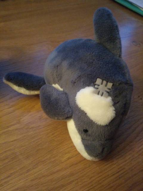 orca cuddly toy