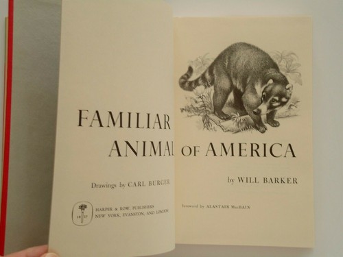 Familiar Animals Of America Will Barker Drawings by Carl Burger 1956 Wild Life - Picture 6 of 8