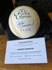 ANDRE DAWSON AUTOGRAPHED SIGNED OMLB BASEBALL 8X GOLD GLOVE AWARD FANATICS MS2