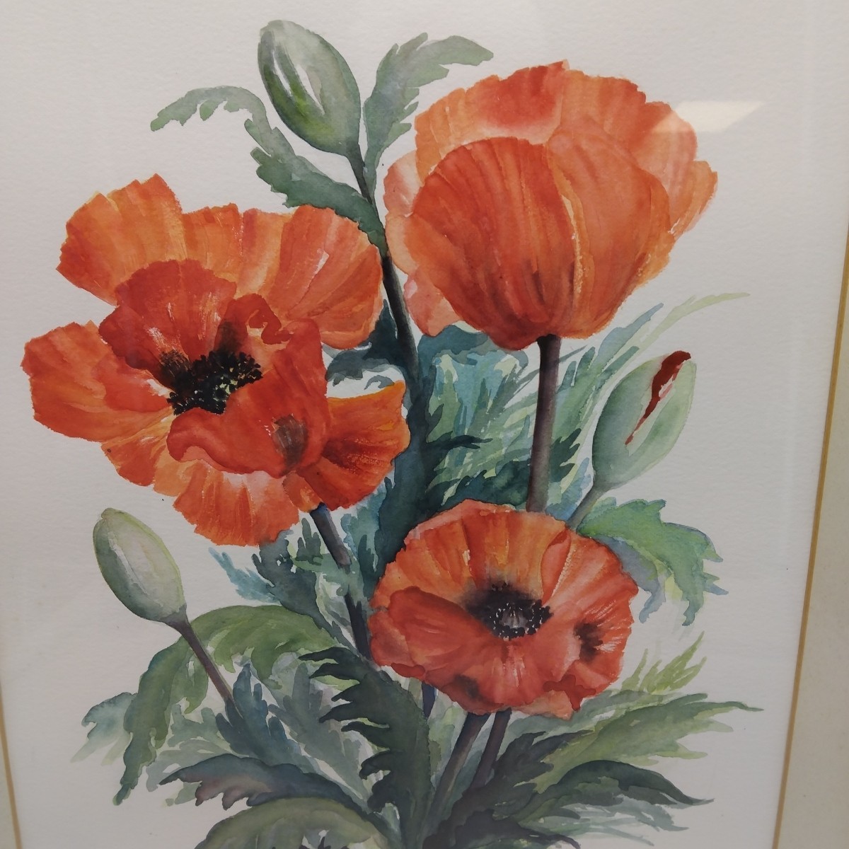 Picture 6 of 24