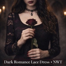 American Living Dark Romance Black Lace Dress Long Sleeve Scalloped Hem NWT
