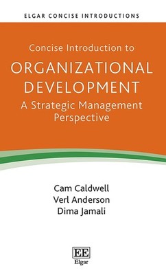 Concise Introduction to Organizational Development: A Strategic Management Persp