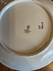 Vintage CT Altwasser Silesia Handpainted 27706 26 Light & Dark Rose Floral Plate — photo 5