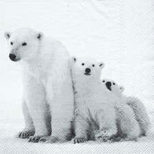 SERVIETTES EN PAPIER OURS POLAIRES FAMILLE. PAPER NAPKINS POLAR BEARS FAMILLY