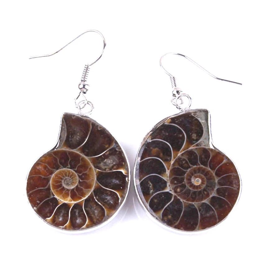Natural Gemstone Random Size and Color Ammonite Fossil Shell Druzy Stone Earring - Image 2 of 3