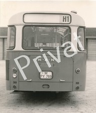 صور ومقتنيات Omnibus Bus