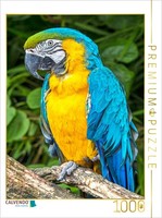 Calvendo Puzzle Colorful Parrots: Yellow-Breasted Macaw. | 1000 Pieces, Finished