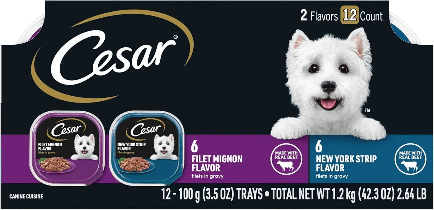 CESAR Filets in Gravy Adult Wet Dog Food, Filet Mignon 2.63 Pound (Pack of 1)