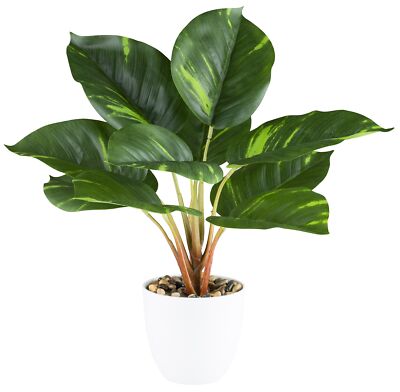 Philodendron ca 36cm grn, im Melamintopf weiss 11x10cm mit Kies  Kunstpflanze 4064118184966 | eBay.de