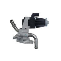 1X Agr-Ventil Valeo 703253 Passend FüR Ford