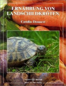 Ernährung von Landschildkröten von Dennert, Carolin | Buch | Zustand sehr gut