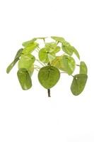 Artplants KüNstliche Sukkulente GlüCkstaler Sybil Auf Steckstab, GrüN, 13Cm