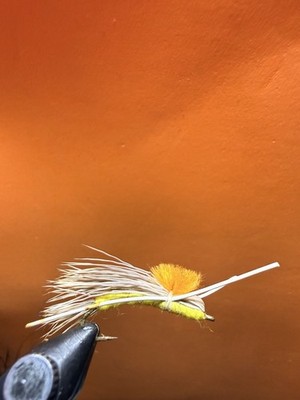 10pc Dry Flies, Madam X size 8