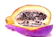 15 Exotic Chocolate Vine Seeds for Planting - Akebia quinata, Five Leaf Vine - S