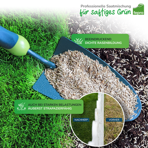 Rasensamen 5kg 10kg 20kg Sport- und Spielrasen Sportrasen Grassamen Rasensaat - Bild 4 von 28