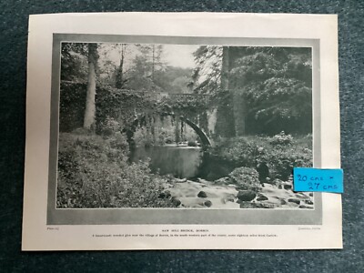 Antiker 20er Jahre Druck, Sägemühlenbrücke, Borris & Karte der Grafschaft Carlow