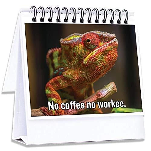 Novelty best sale office gifts