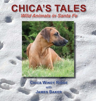 Chica's Tales | Wild Animals in Santa Fe | James Baker | Buch | Englisch | 2023