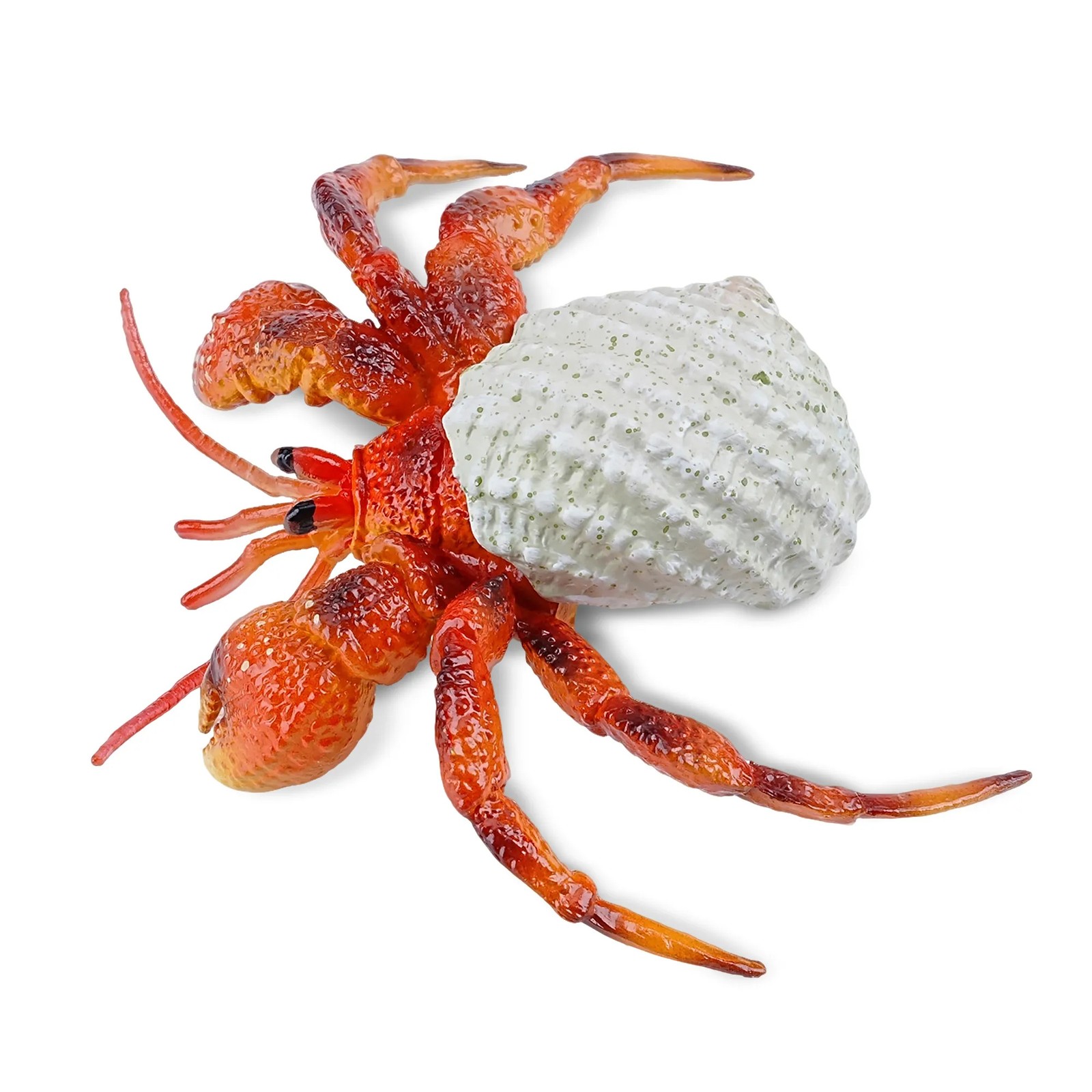 Toymany ML00460 Hermit Crab Action Figure 7,2 cm Water World