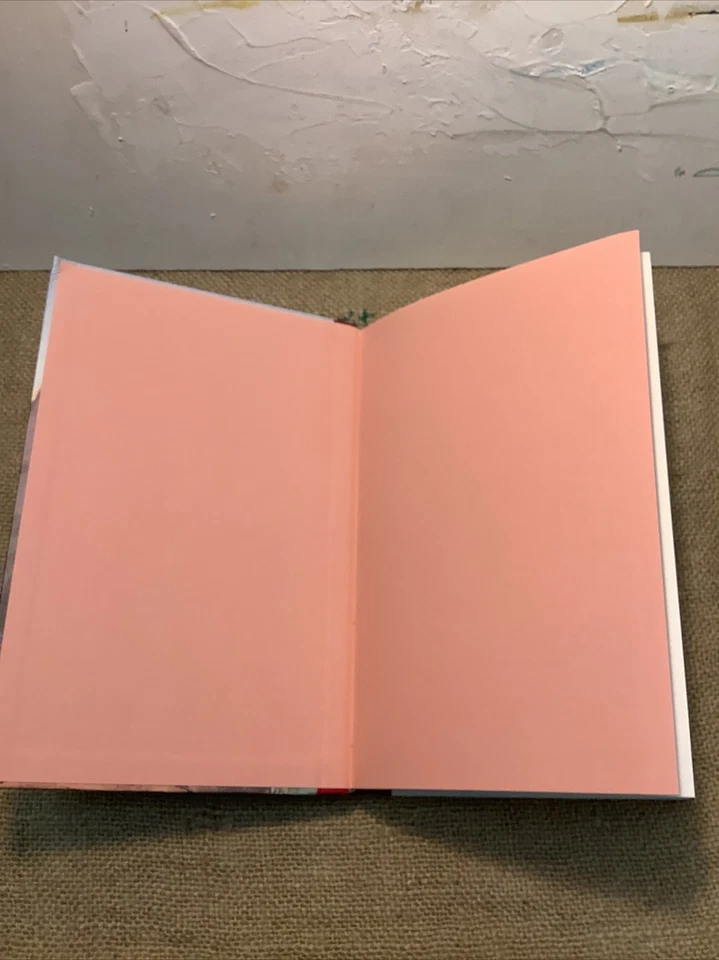 Heidi Von Johanna Spyri Zarhawman von Tomi Ungerer Diogenes Volume 1 - Immagine 4 di 4