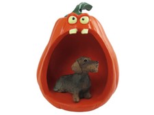 Wire Haired Dachshund Red Halloween Statue Figurine and Spooky Pumpkin