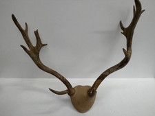 PAIR OF VINTAGE STAG DEER ANTLERS MOUNTED ON WALL HUNG TIMBER ART PLAQUE