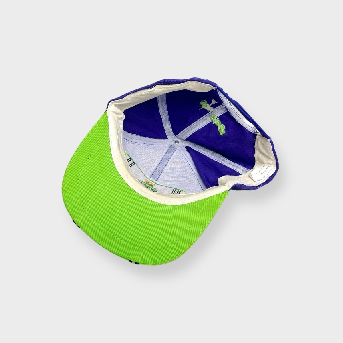 Vtg 90s Six Flags Marvin the Martian Snapback Hat, Looney Tunes