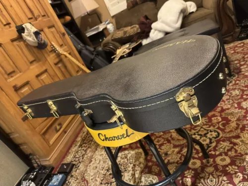 Alex Arneson Famous Fraud Hard Case For Fender Gibson Style Guitars