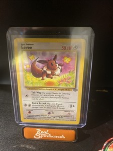 eevee 1995 pokemon card 51 64 Dale Gribble Pokemon Card - Rusty Shackleford