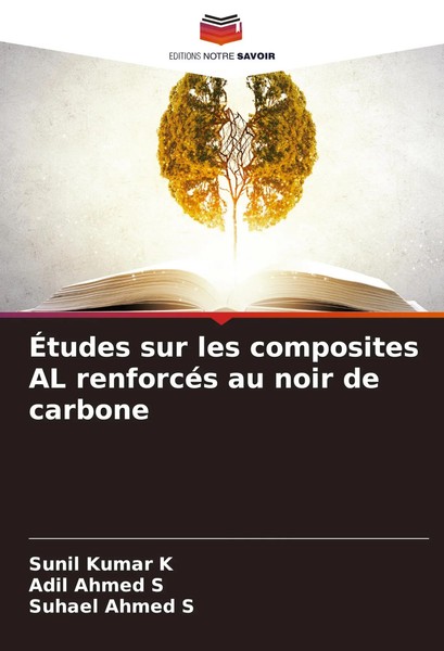 ÉTudes Sur Les Composites Al RenforcéS Au Noir De Carbone Sunil Kumar K (U. A.)-image