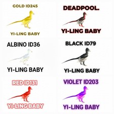 Ark Survival Ascended Pve Ufficiale Yi-Ling Baby [Top Melee] Lvl362 Pz/Xbox/Ps5