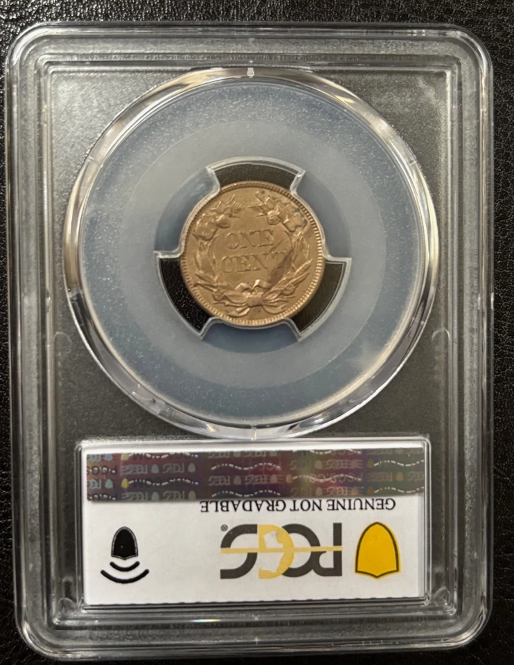 Águila Voladora 1857 1C - PCGS Genuina UNC Detalle-Limpiado (#992) Foto 3 de 4