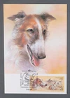 Mayfairstamps Russia 1988 Dog Maximum Card First Day Cover aaz_46605