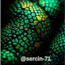 Digital Image Picture Photo Wallpaper Background Desktop AI Art Sample Product