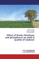 Zerihun Yebasa (U. A.) | Effect Of Brady Rhizobium And Phosphorus On Yield &...