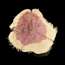X Large Red Cedar Wood Turning Blank Cookie Live Edge Base2.5" Thick X 12" W 1
