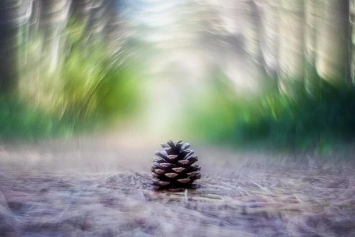 Helios 44M f,2 Lens Petzval Modification Dreamy Swirly Bokeh Angel Wing M42 - Image 3 of 4