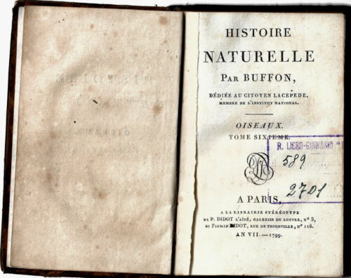 Histoire Naturelle Buffon Ornithologie Oiseaux Illustré 1799 - Photo 1 sur 7