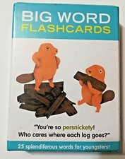 Big Word Flashcards Language Introduction Practice Cards Sealed NIB