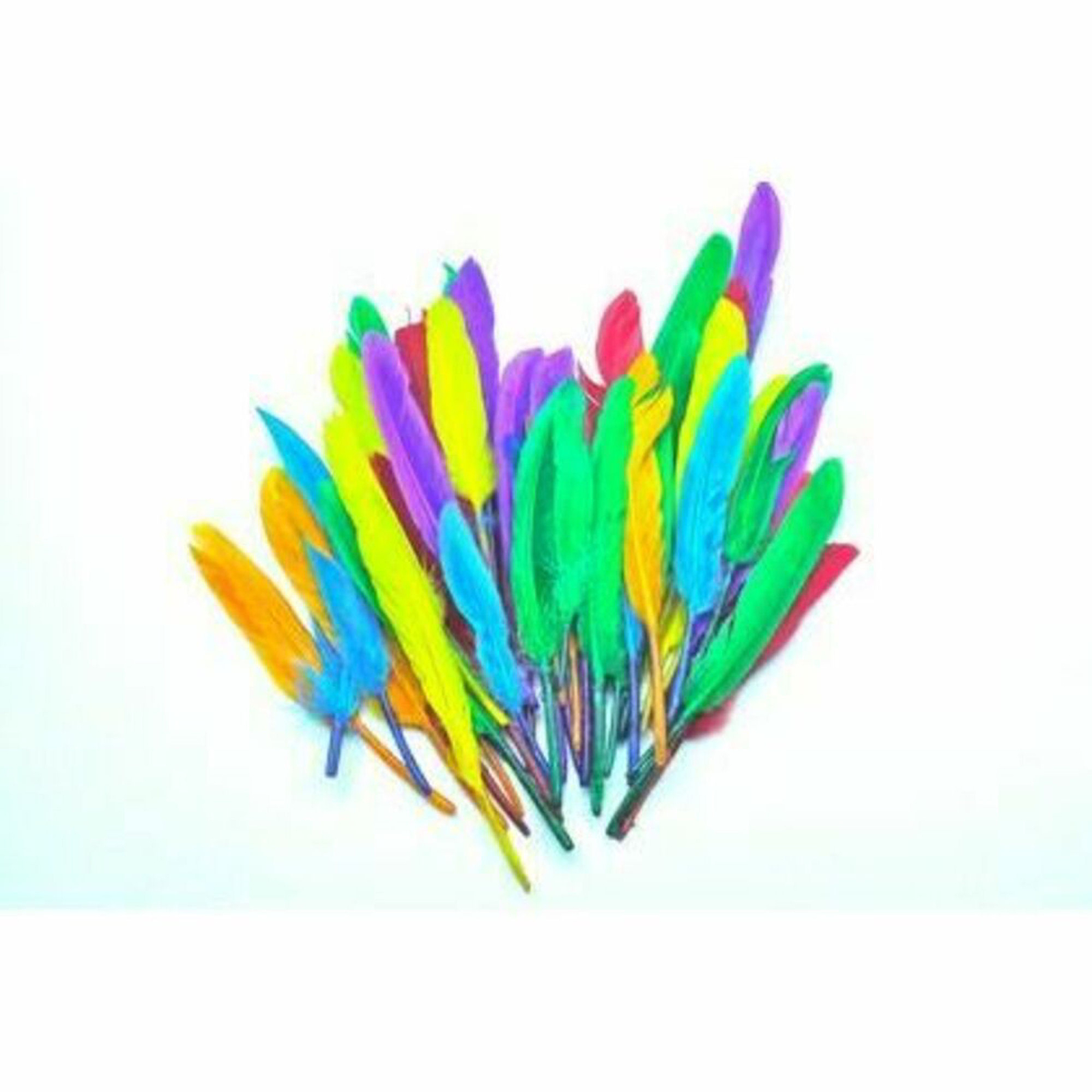 Feather - Duck Quills Assorted - 10g Pack