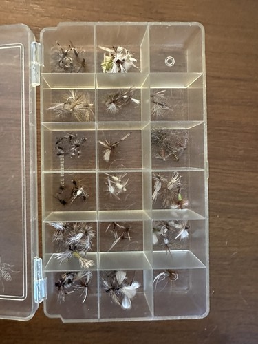 60 pc Dry flies with box | eBay