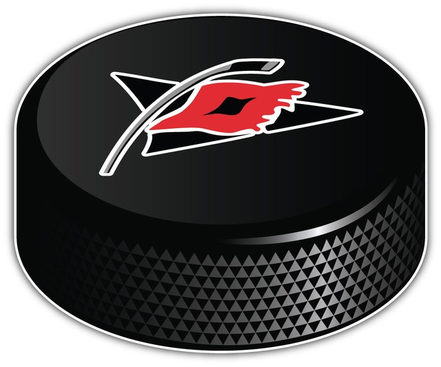 Carolina Hurricanes Symbol NHL Logo Hockey Puck Bumper Sticker 9'',12