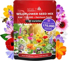 Wildflower Seeds Mix – 1/4 lb, 170,000 Seeds, 35 Variety Perennial & Annual F...