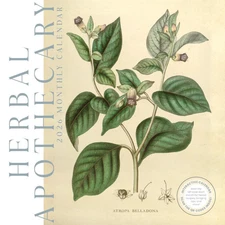 Herbal Apothecary Calendar 2026 | 12" x 24" 12 Month | Marble City Press
